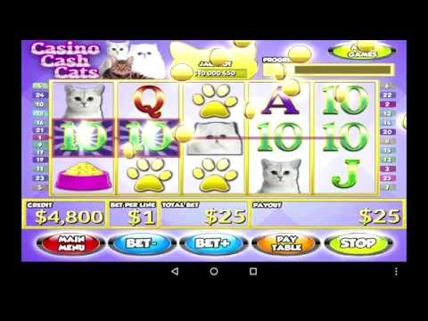 Casino Cash Cats Kitty Slots Video