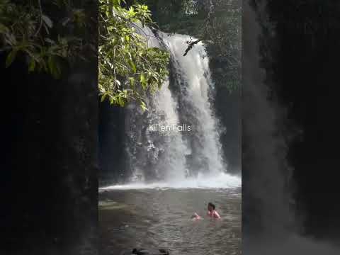 Hidden gems in Byron Bay, NSW #youtubeshorts #byronbay #travel #nsw #nswaustralia