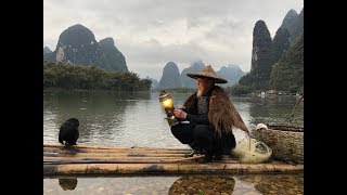 preview picture of video 'Li River Cormorant Fishing'