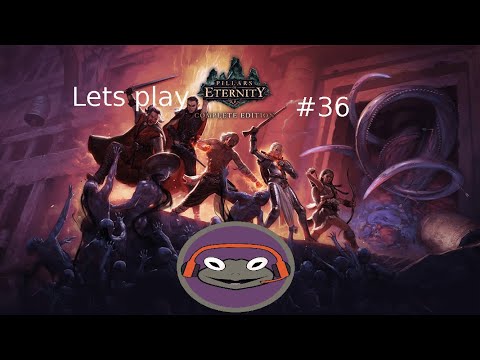 Lets play pillars of eternity((Nintendo switch)) #36 Slowly we explore the caves