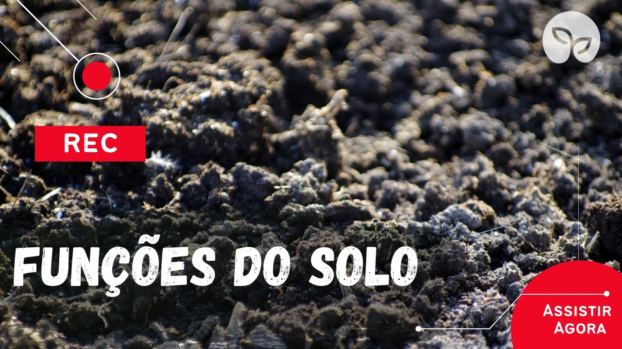 MANEJO ECOLÓGICO DO SOLO | 4 principais funções do solo para agricultura.
