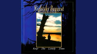 Music video thumbnail preview for The Lonely Picture by Nightsky Bequest