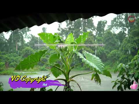 No Copyright | Free Music #shorts #viral #Mulita #lyrics #song #music #relaxing