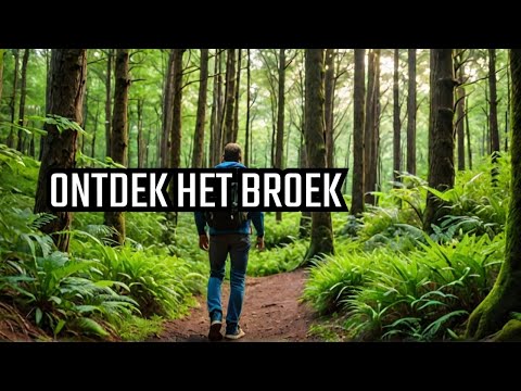 Natuurwandeling door het Broek - Filmpjes Jan De prins