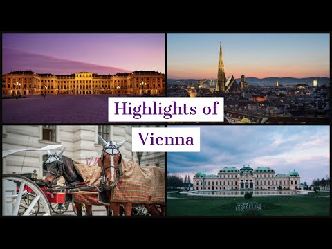 A Semester Abroad | Highlights of Vienna | Travel Diary Vienna
