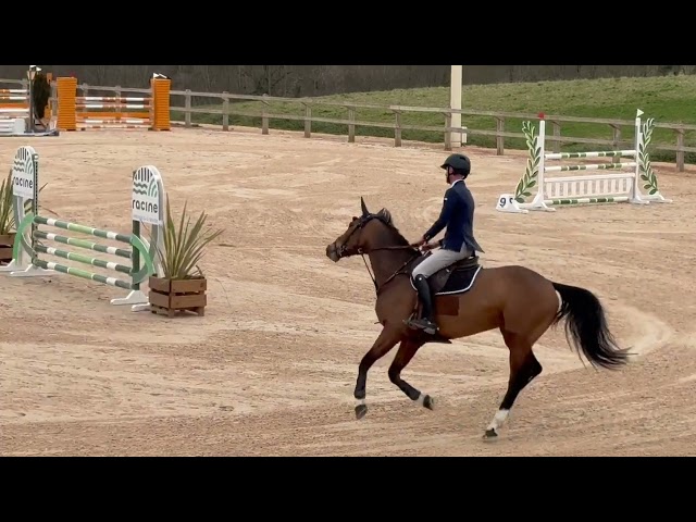 Jument 6 ans / belles origines / mod&egrave;le / respect 