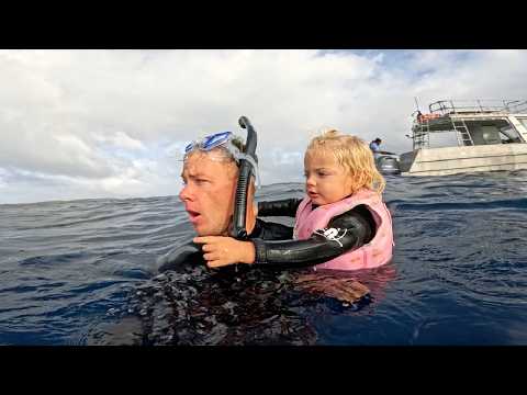 2 Year Old Swims With Humpback Whales in Tonga