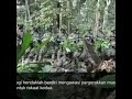 Allahu Akbar Army Jawans Performing Prayer In Forest On Duty Sub HanAllah