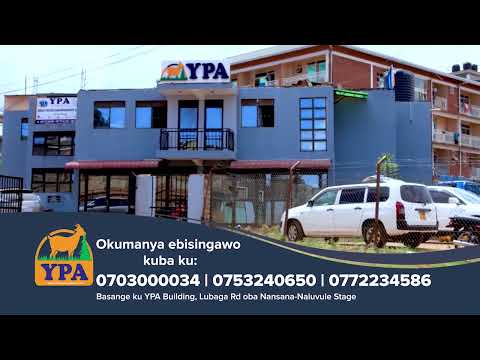 Goats Investment with YPA - The Smartest Choice of Digital Farming. 100% profits guaranteed.