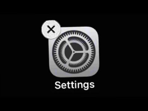 Never Delete the Settings App...