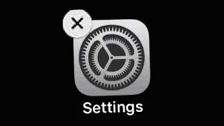 Never Delete the Settings App...