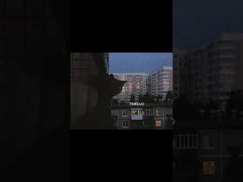 трек в тгк: synthlove #music #nightcore #wave #wavemusic #phonk