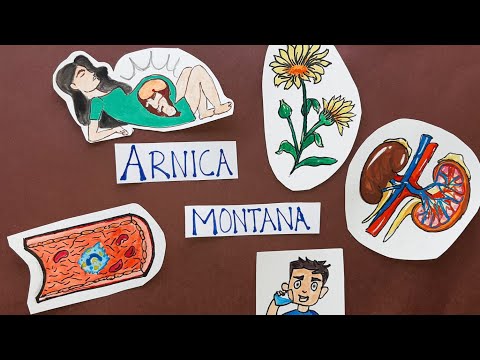 Arnica Montana | Part 1 | From Dr. N. M. Choudhuri's Materia Medica