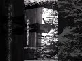 Dark Love Shidhu Moose Wala Status