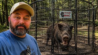 We FINALLY Had Hogzilla… Then This Happened