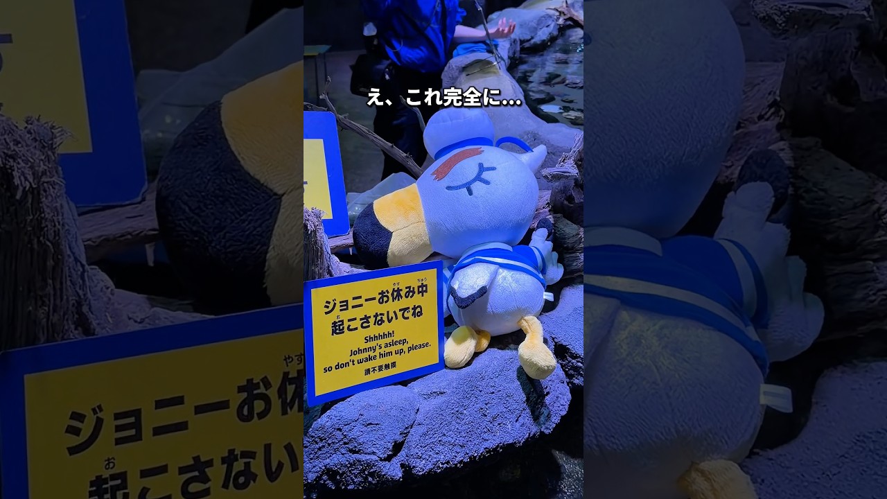 あつ森水族館がある意味えぐい...