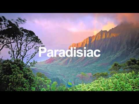 Infamy - Pink Skyscraper