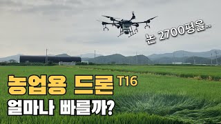 농업용 드론으로 방제하기 DJI T16 쌀농사 드론으로 (agricultural drone)