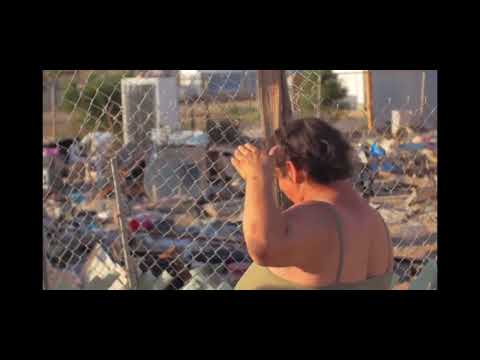 Danny Mullen animal activism