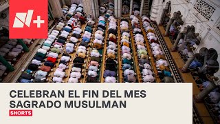 El último Baile De La Musulmana Watch HD Mp4 Videos Download Free