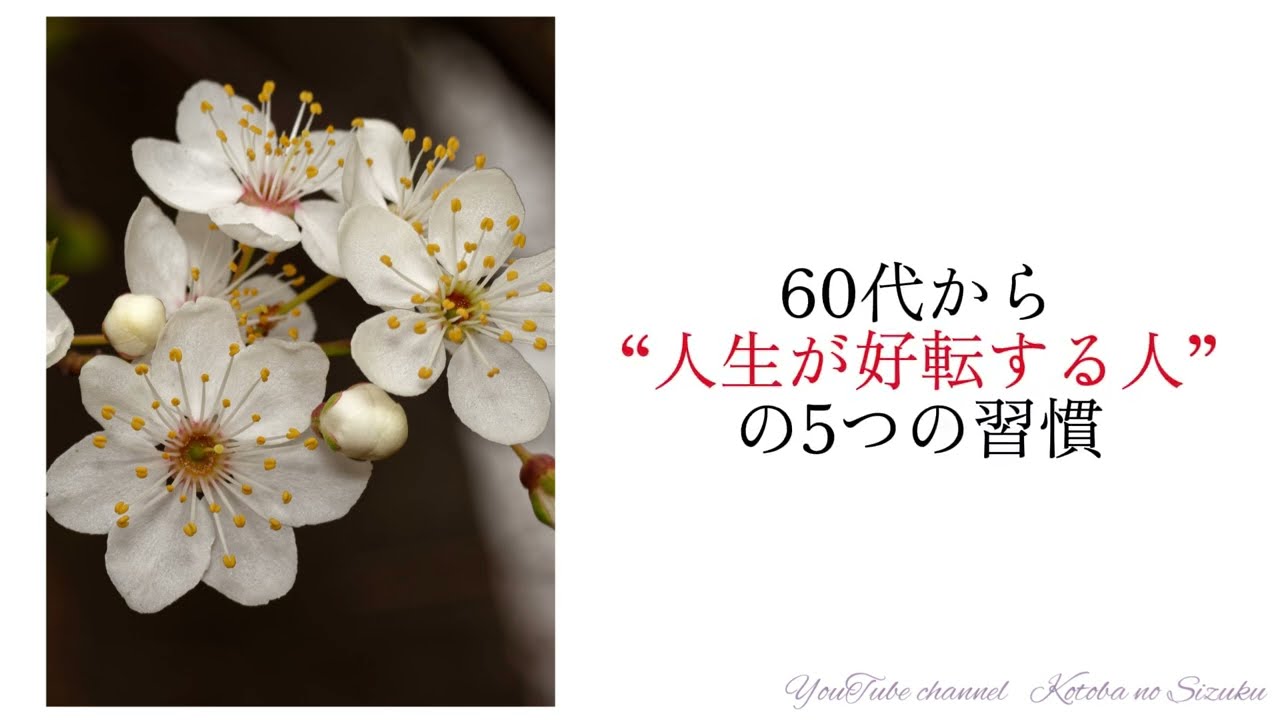 YouTubeサムネイル