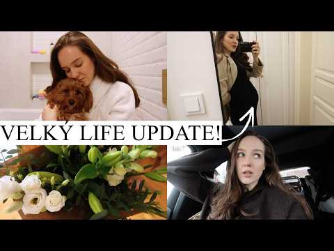 VLOG | Konečně zpátky na Youtube! Co je nového?