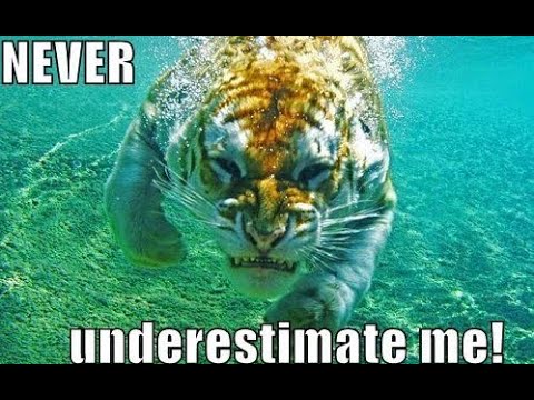 "NEVER UNDERESTIMATE ME"   Motivational Video