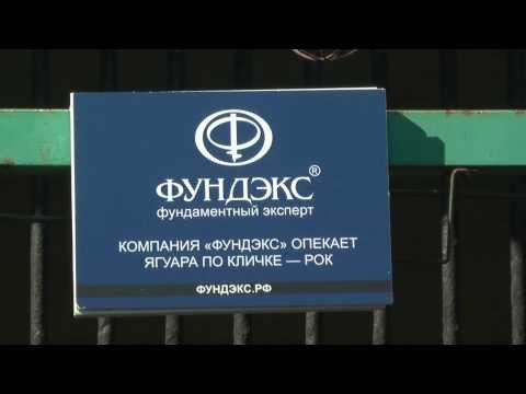 Рок и Агнесса снова вместе.