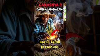 Download lagu The miracle of putting Alang Alang leaves IN A POCKET in the spiritual world #sobatsejati#Shorts mp3