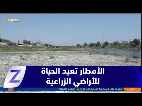 فيديو | النجف.. الأمطار تعيد الحياة للأراضي الزراعية بعد سنوات من الجفاف