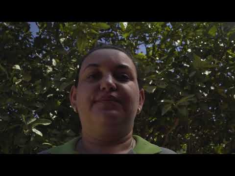 TRAILER - O PONTO DO MEL