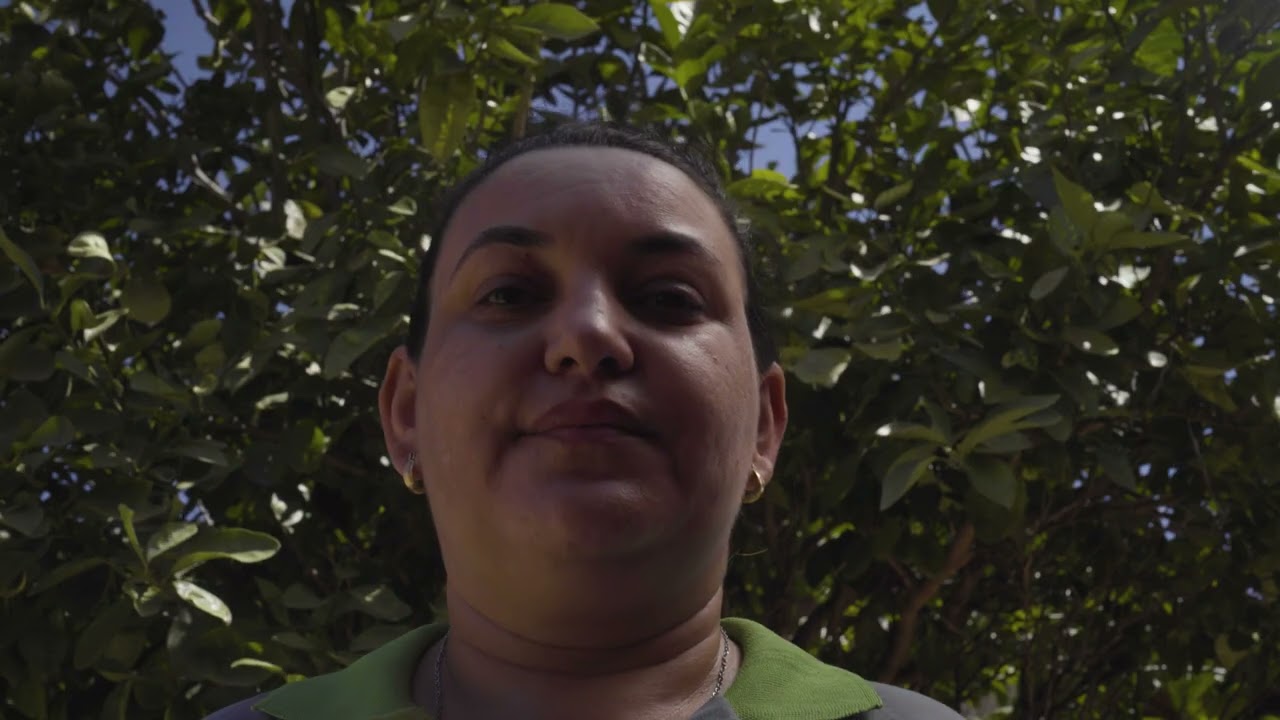 TRAILER - O PONTO DO MEL