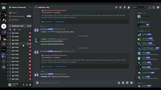 Testing the Power of a Discord Nuke Bot