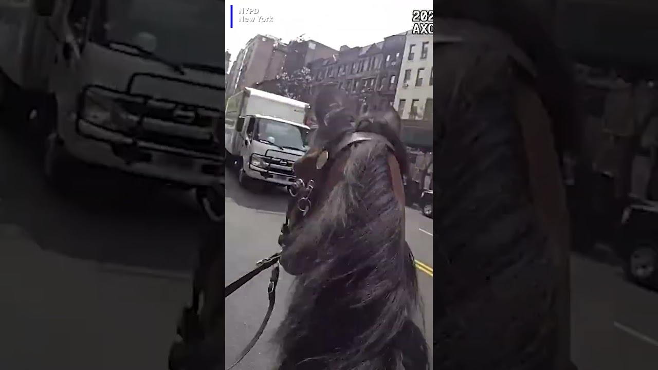 Mounted officer galloping down the street to catch a person accused of stealing a purse