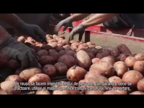 , title : 'Producatori romani - episodul 6: Cartofi de la ferma Agrico-m din Targu Secuiesc'