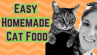 How to Make Homemade Raw Cat Food - The Recipe That Drastically IMPROVED MY CATS