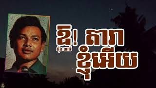 ឱ! តារាខ្ញុំអើយ - អ៉ឹង ណារី | Or Dara Knhom Ery - OENG NARY