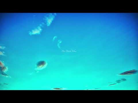 Adje & Cho - Hij En Ze Niggas / Lifestyle