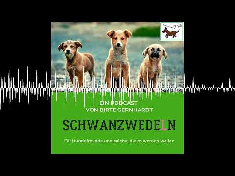 93 ProDogRomania e.V. - Tierschutz in Rumänien verbessern - Schwanzwedeln