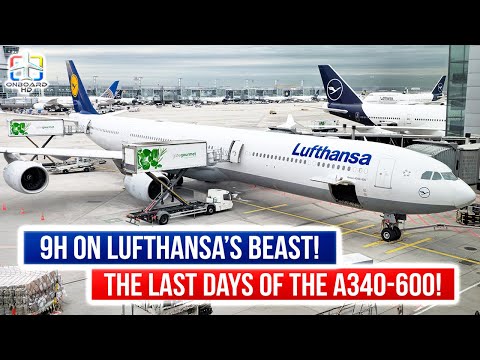 TRIP REPORT | Crossing the Atlantic on A340-600! | Frankfurt to Chicago | LUFTHANSA A340-600