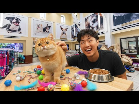 When Mfs Get Their First Cat