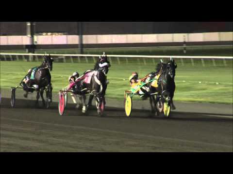 Pace Preview - Wiggle It Jiggleit