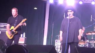 THE SMITHEREENS "A Girl Like You" LIVE!!!