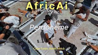 Inside the Africa AI summit: My VIP experience VLOG (Boat Cruise, Festival and more).