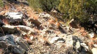 preview picture of video 'DA2W - Descending a Steep, Rocky Slope in Villanueva State Park NM - Part 2'