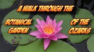 preview picture of video 'A Walk Through the Botanical Garden of the Ozarks in Northwest Arkansas'