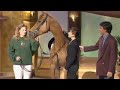 Alan Partridge Regrets Bringing This Horse On Stage Knowing Me Knowing You BBC Studios