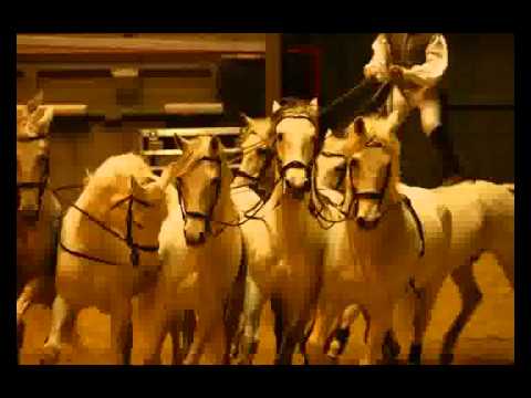 OTP LOVAS VILAGKUPA 2011 World Cup Hungary, Budapest 2011