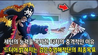 [원피스 분석] 세턴의 능력을 복사한 티치의 충격적인 이유 그리고 드디어 밝혀지는 검은수염해적단의 최종목표