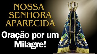 ✨ Nossa Senhora Aparecida, Passa na Frente e Realiza Esse Milagre! Oração Poderosa e Urgente! 🙏